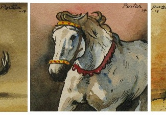 Pony triptych