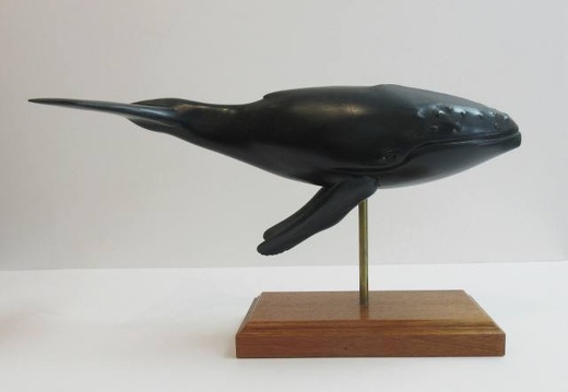 Humpback Whale 2 