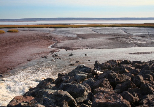 Fundy Shore 