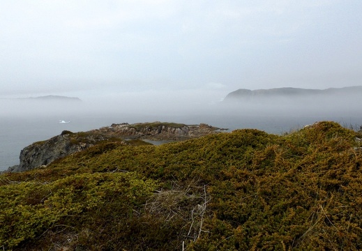 Newfoundland Cliffs