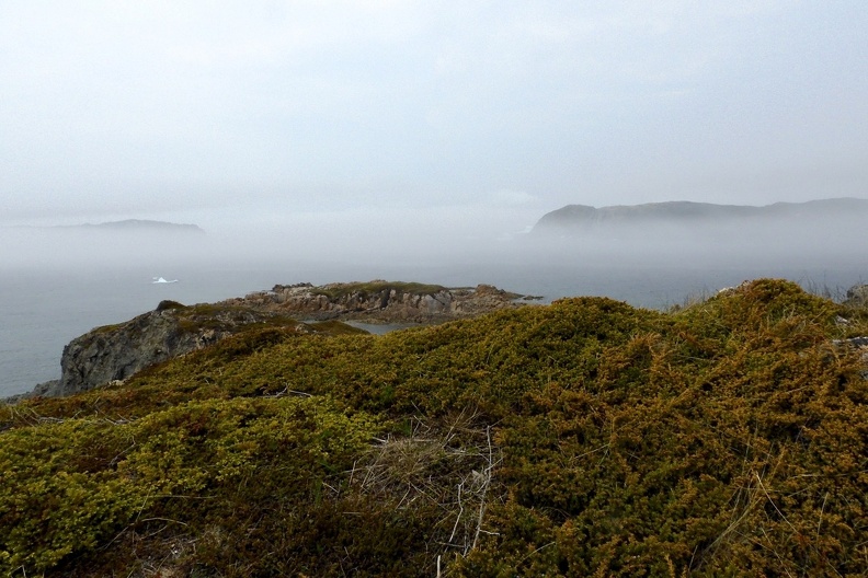 Copy of Newfoundland Cliffs.jpg