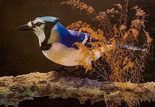 Leonard Paul - Blue Jay