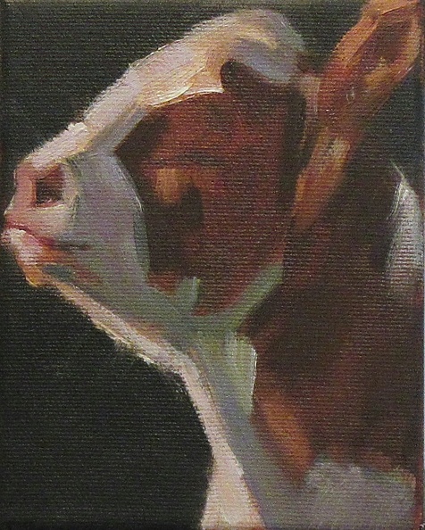 Cow Mini 2.jpg